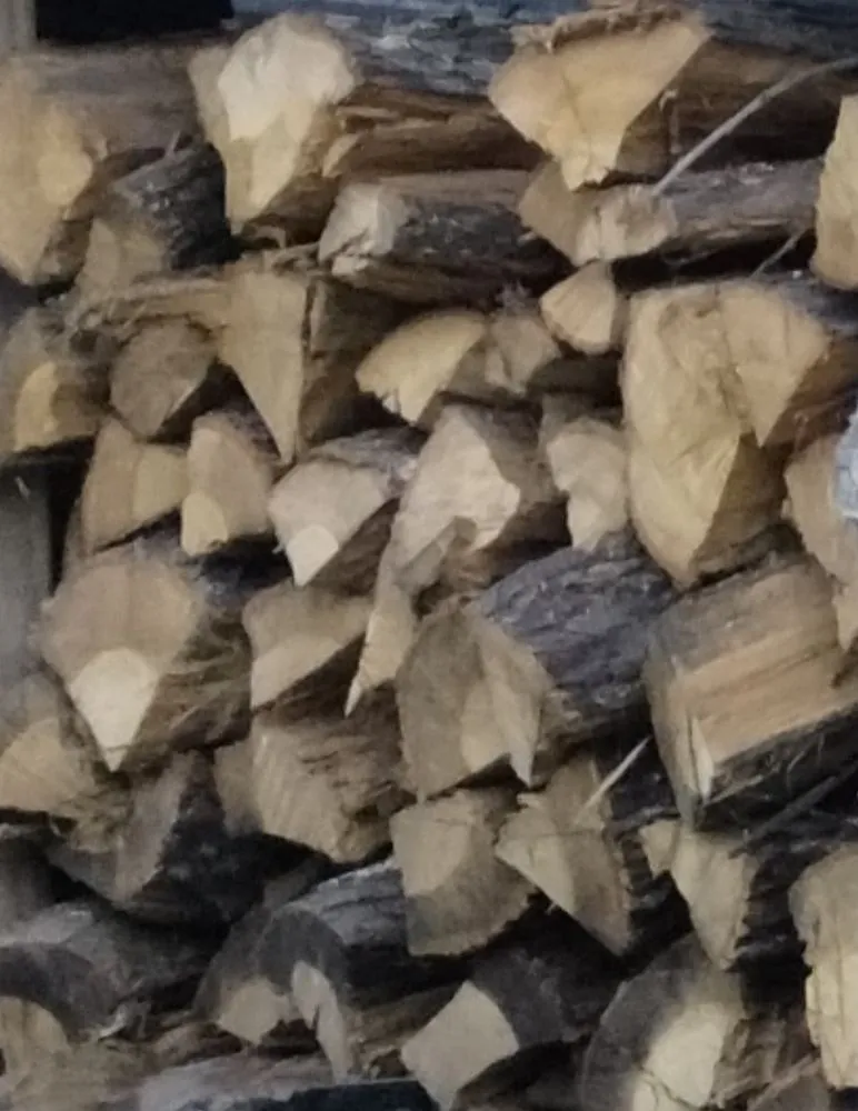 Reliable landscape installation for year-round maintenance in Gladewater, TX by Lawn Butler