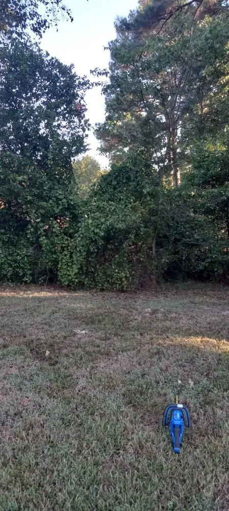 Local garden landscaping near you across Gladewater, TX - Lawn Butler