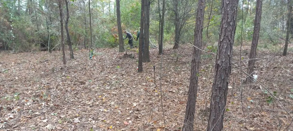 Reliable lawn care service in Gladewater, TX - Lawn Butler