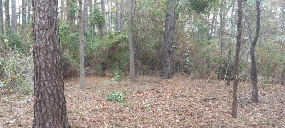 Expert residential landscaping experts serving Gladewater, TX - Lawn Butler