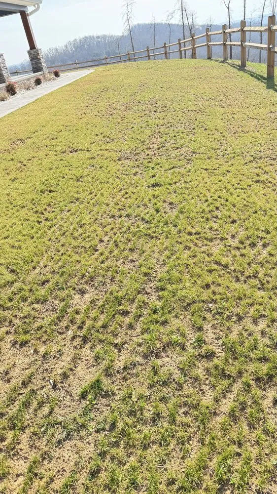 Custom lawn care service in Knoxville, TN - Lawn Butler