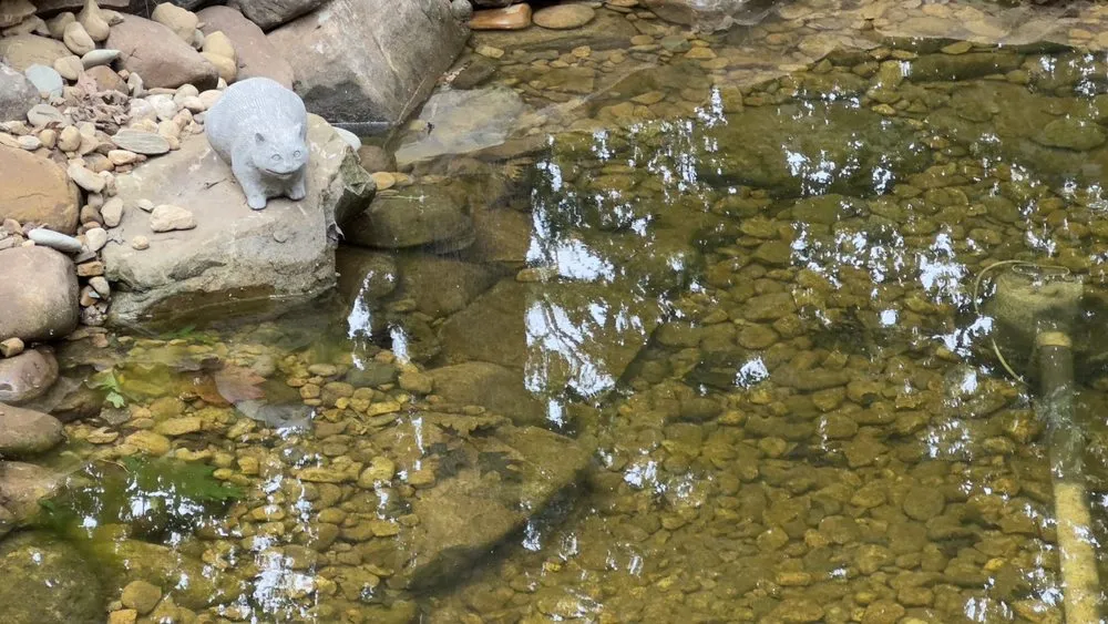 Custom lawn mowing service in Knoxville, TN - Lawn Butler