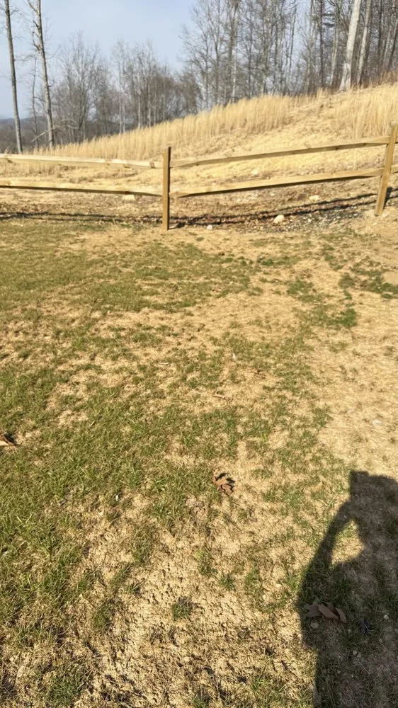 Affordable yard cleanup service for homes in Knoxville, TN by Lawn Butler