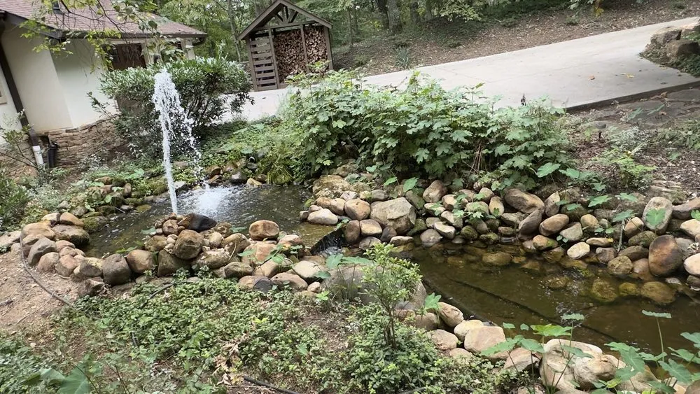 Trusted yard cleanup service in Knoxville, TN by Lawn Butler