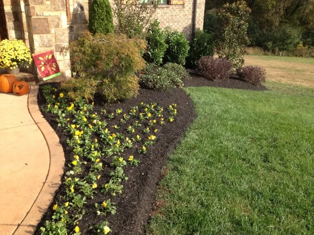 Expert residential landscaping for outdoor upgrades in Knoxville, TN by Lawn Butler