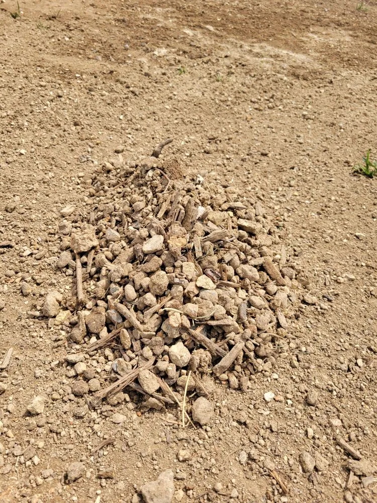 Expert garden landscaping in Knoxville, TN - Lawn Butler