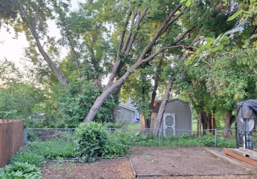 Professional garden landscaping near you in Saint Paul, MN by Lawn by the Yard