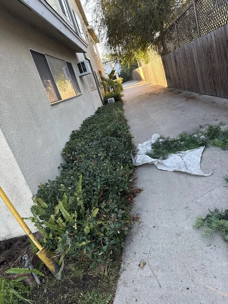 Reliable landscape design near you across Orange County, CA - Lawn By Twins