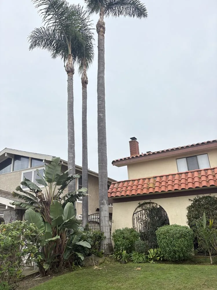 Reliable landscape design in Orange County, CA - Lawn By Twins