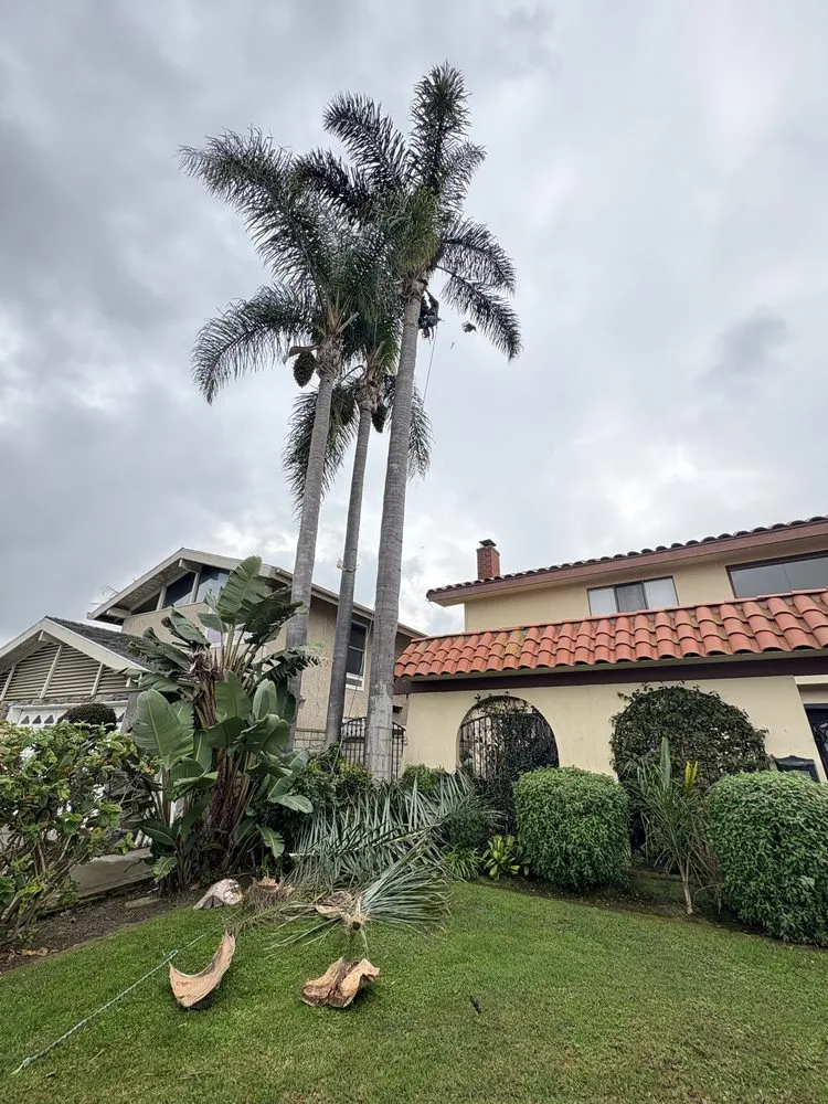 Local landscape design for residential properties across Orange County, CA - Lawn By Twins