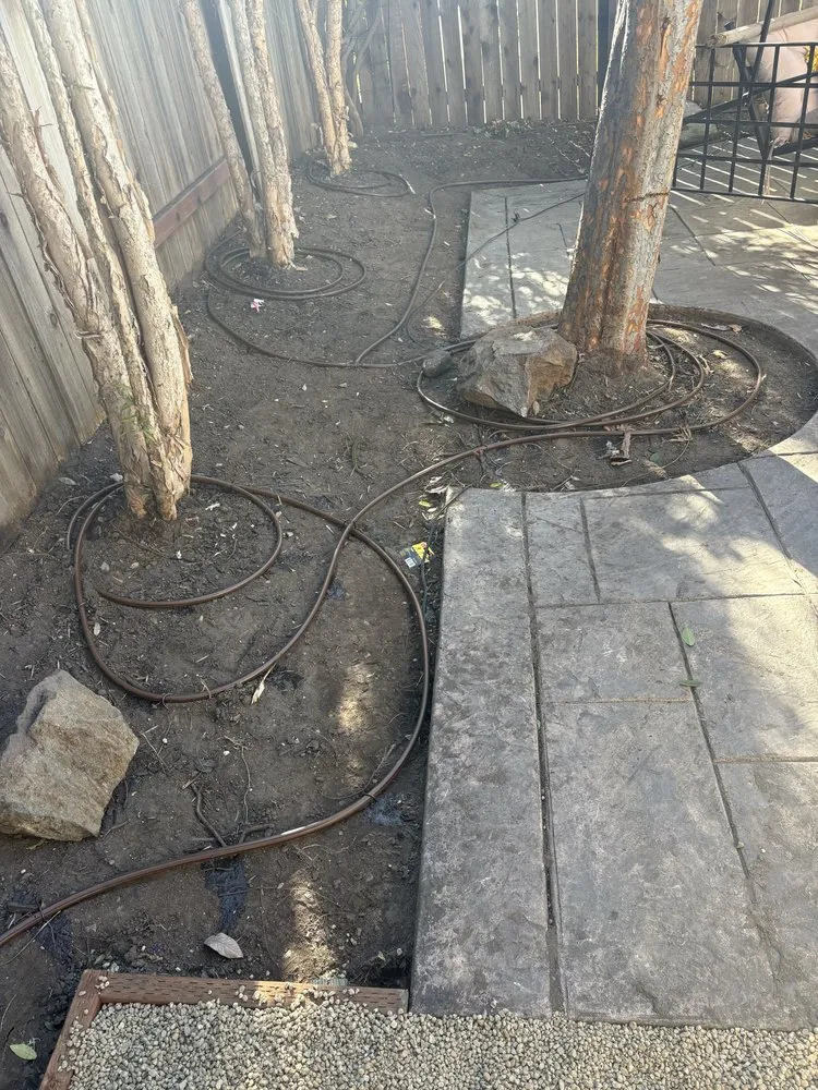 Reliable garden landscaping in Orange County, CA - Lawn By Twins