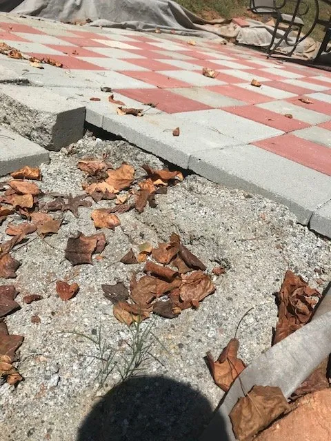 Reliable landscape design experts serving Decatur, GA - Lawn Capital