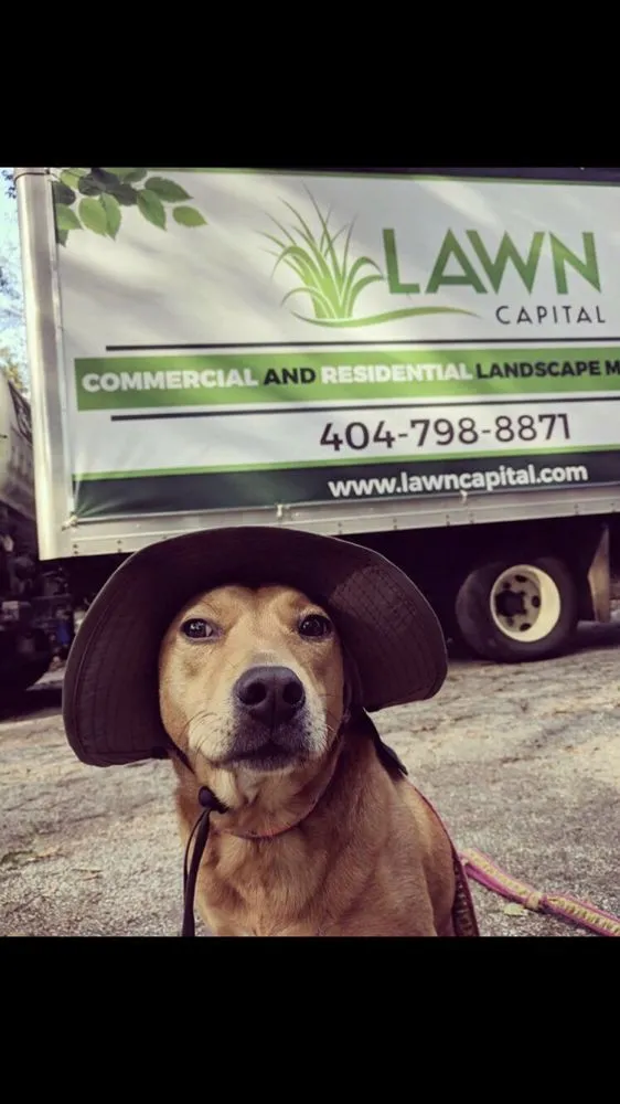 Custom yard cleanup service for outdoor upgrades across Decatur, GA - Lawn Capital