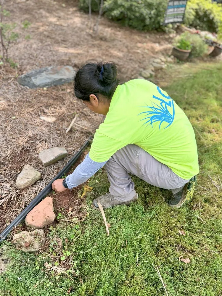 Top-rated yard maintenance in Decatur, GA - Lawn Capital