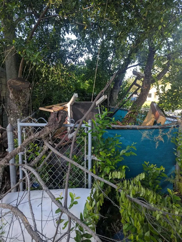 Trusted yard maintenance in St. Petersburg, FL - Lawn Care & Junk Removal Services