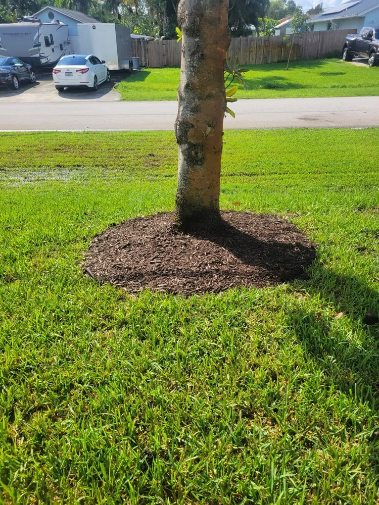 Affordable yard cleanup service with custom design across Port Saint Lucie, FL - Lawn Care 101