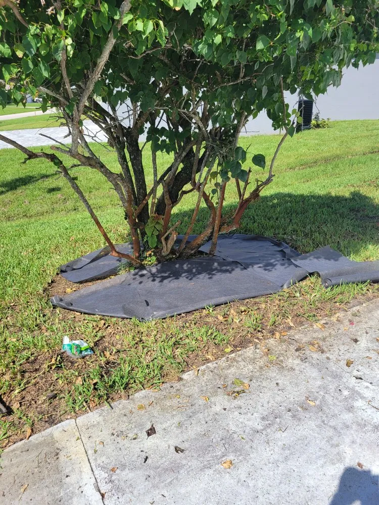 Top-rated yard cleanup service in Port Saint Lucie, FL by Lawn Care 101