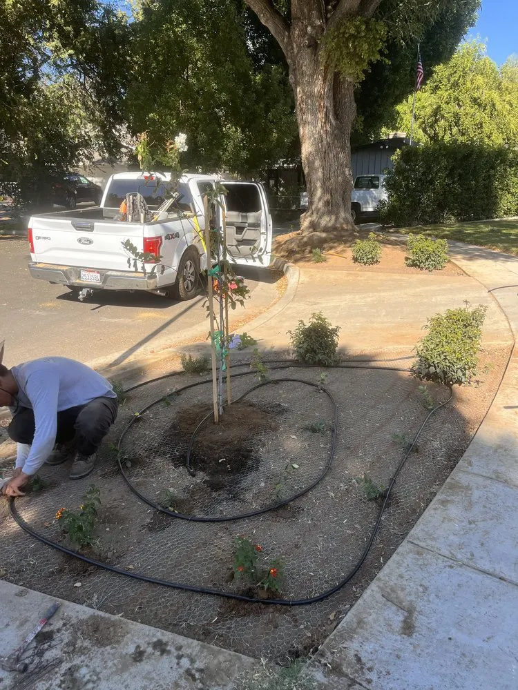 Local landscaping services for outdoor upgrades in Riverside, CA by Lawn Care 4 U & Landscaping