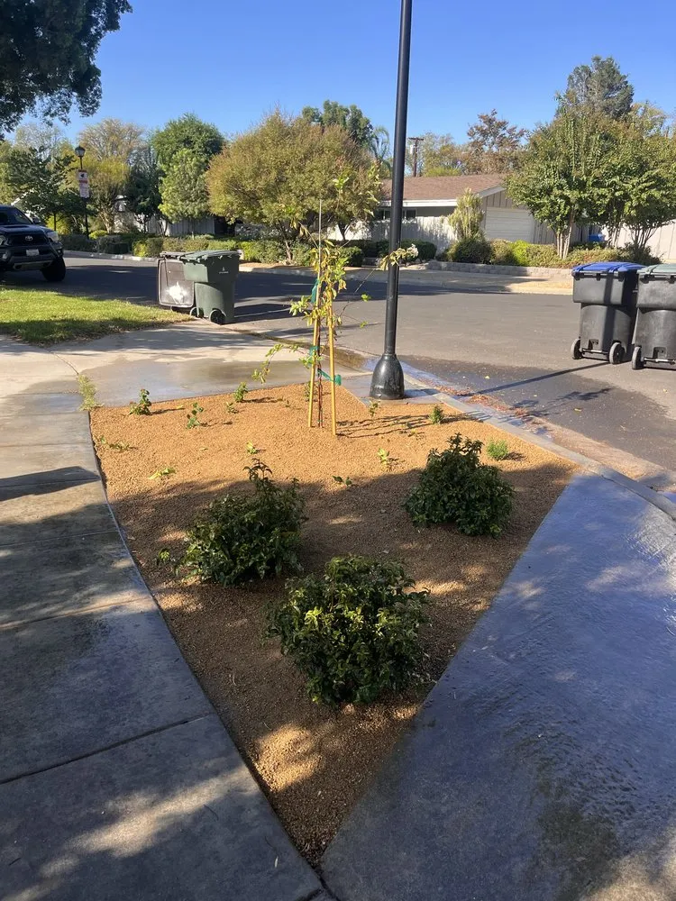 Local yard cleanup service in Riverside, CA by Lawn Care 4 U & Landscaping