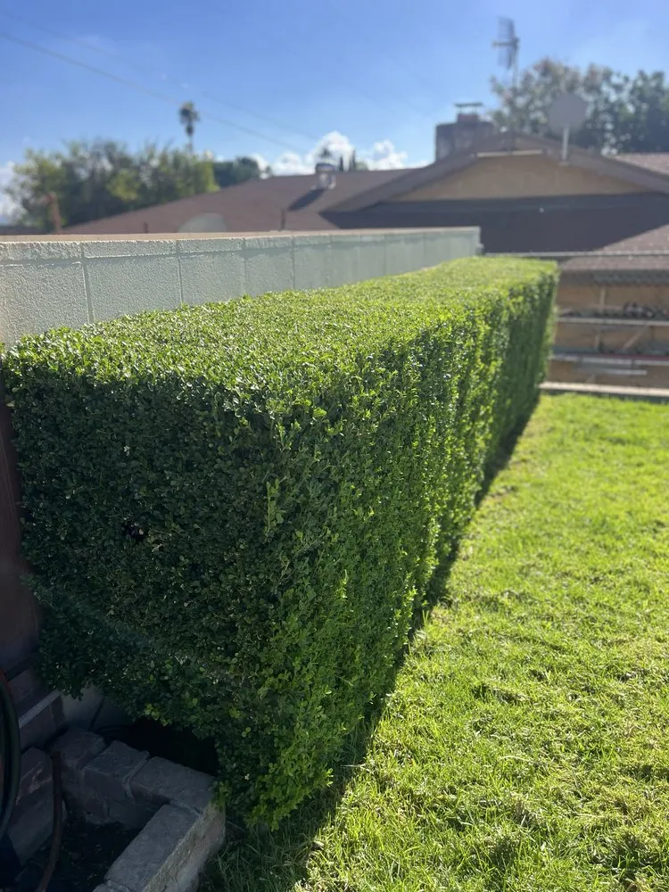 Top-rated lawn care service for beautiful yards across Riverside, CA - Lawn Care 4 U & Landscaping