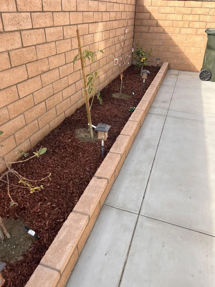 Custom lawn mowing service for beautiful yards in Riverside, CA by Lawn Care 4 U & Landscaping