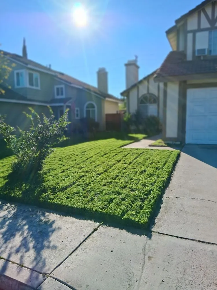 Reliable lawn mowing service with custom design across Riverside, CA - Lawn Care 4 U & Landscaping