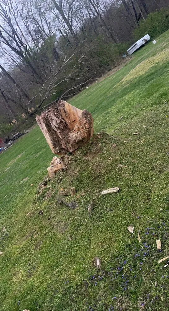 Reliable yard maintenance near you in Clay City, KY by Lawn Care 4.0