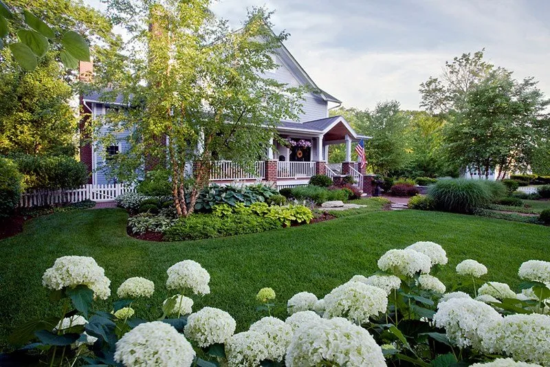Reliable outdoor landscaping for year-round maintenance across Richmond, VA - Lawn Care And Gardens By Andrew