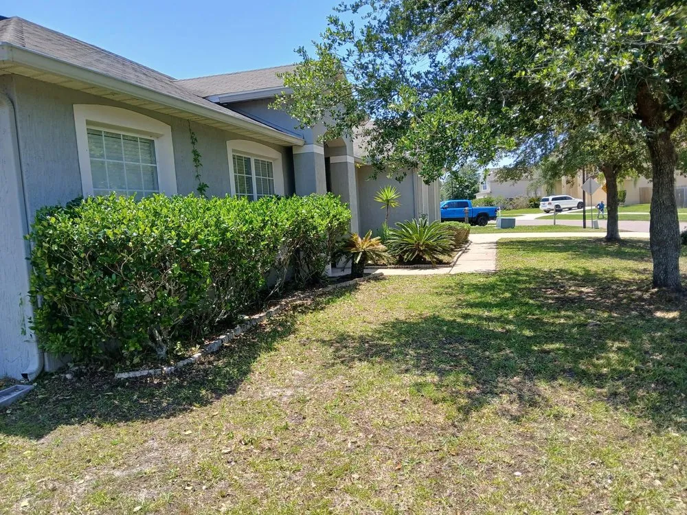 Affordable yard maintenance for beautiful yards in Jacksonville, FL by Lawn Care and Handyman Services