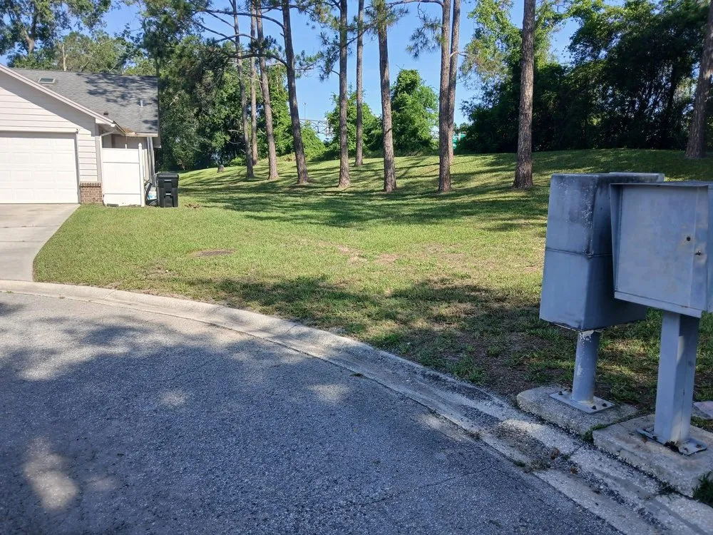 Reliable lawn care service in Jacksonville, FL by Lawn Care and Handyman Services