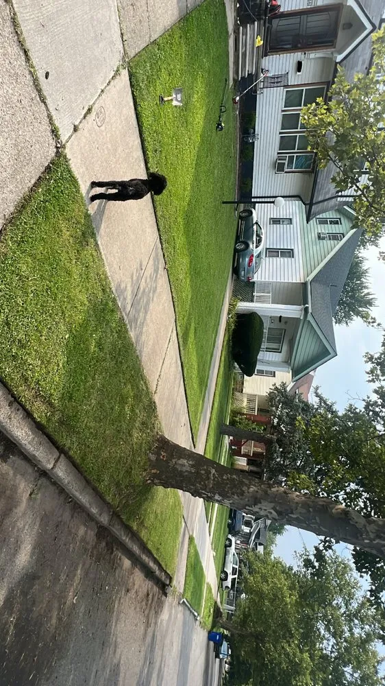 Local yard maintenance in Detroit, MI by Lawn Care And Lanscape