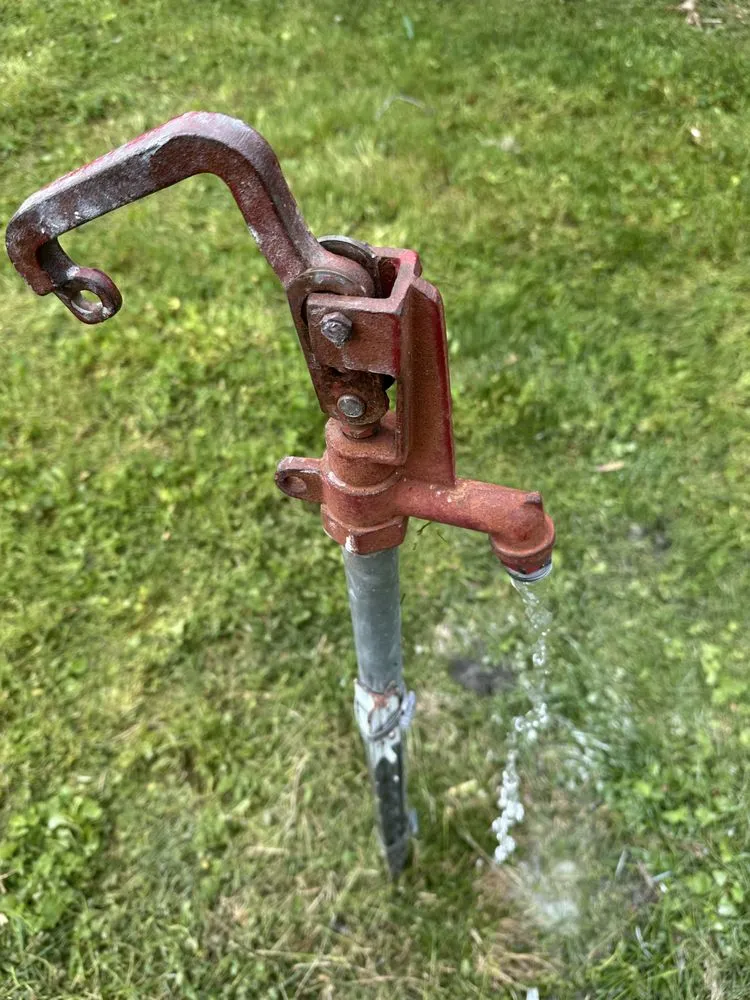 Reliable yard maintenance in Murfreesboro, TN by Lawn Care and Tree Services