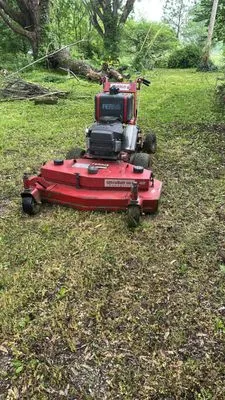 Lawn Care and Tree Services Logo