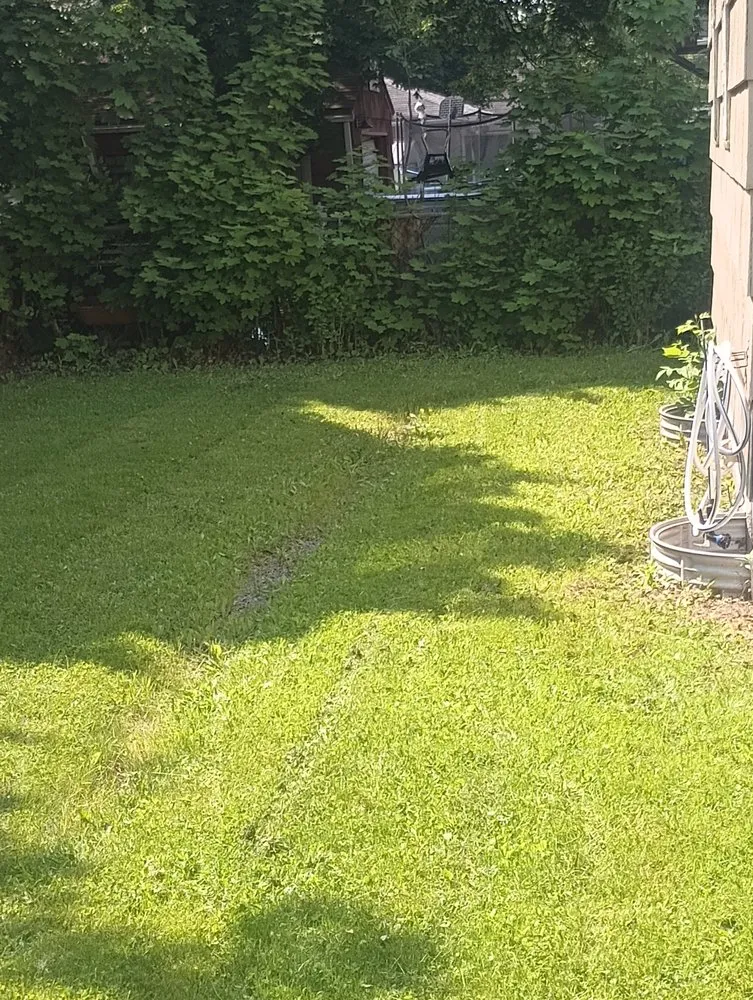 Reliable yard maintenance in Rochester, NY by Lawn Care And Trimming Service