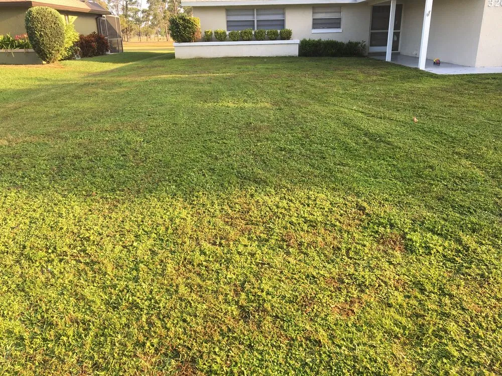 Trusted landscape installation for year-round maintenance in Avon Park, FL by Lawn care