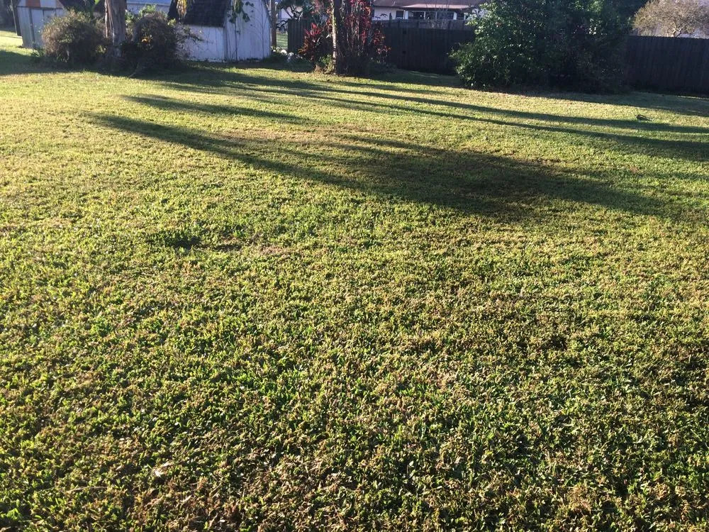 Top-rated landscape design in Avon Park, FL - Lawn care