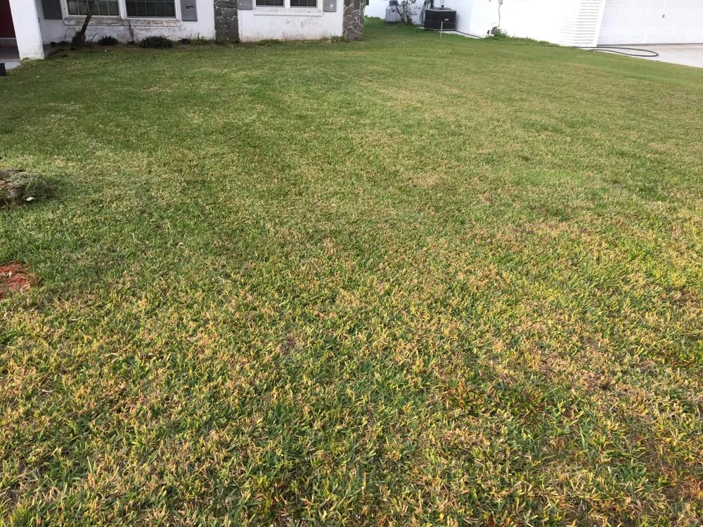 Affordable landscape design for beautiful yards in Avon Park, FL by Lawn care