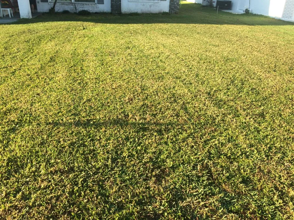 Expert landscaping services for year-round maintenance in Avon Park, FL by Lawn care