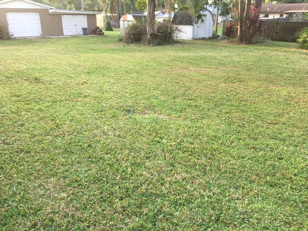 Reliable yard cleanup service for outdoor upgrades across Avon Park, FL - Lawn care