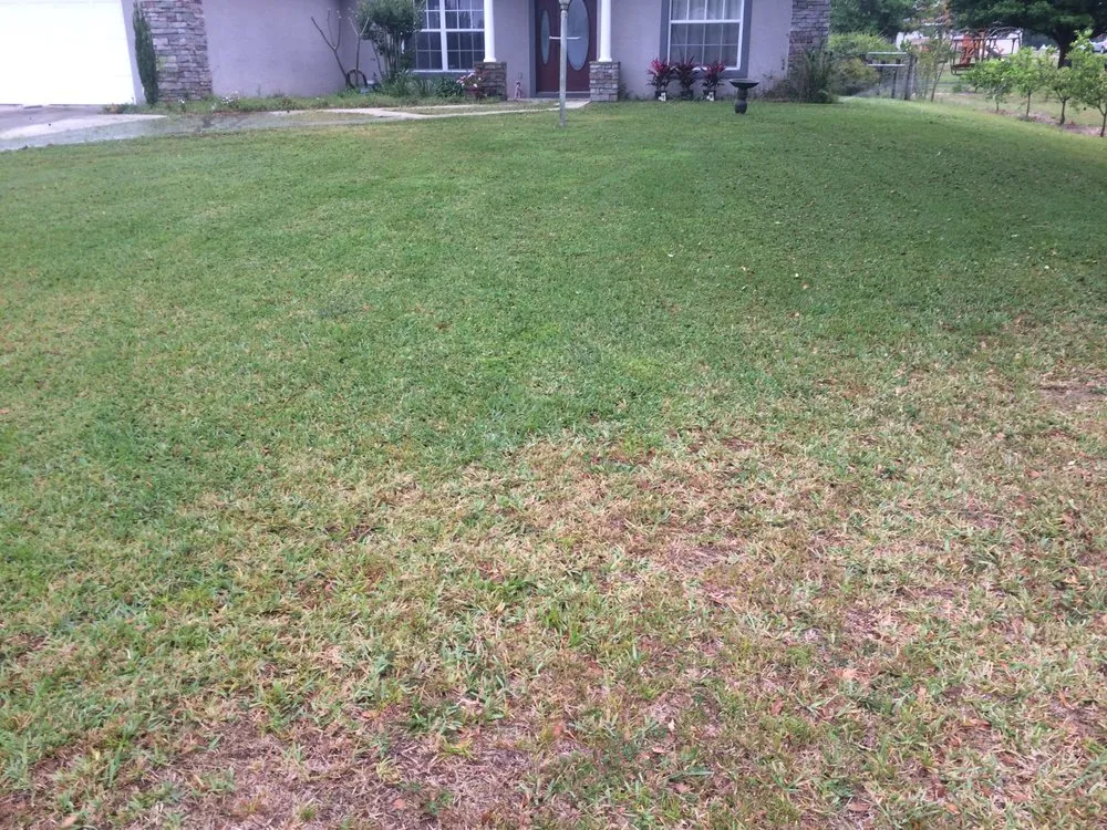 Local residential landscaping experts serving Avon Park, FL - Lawn care
