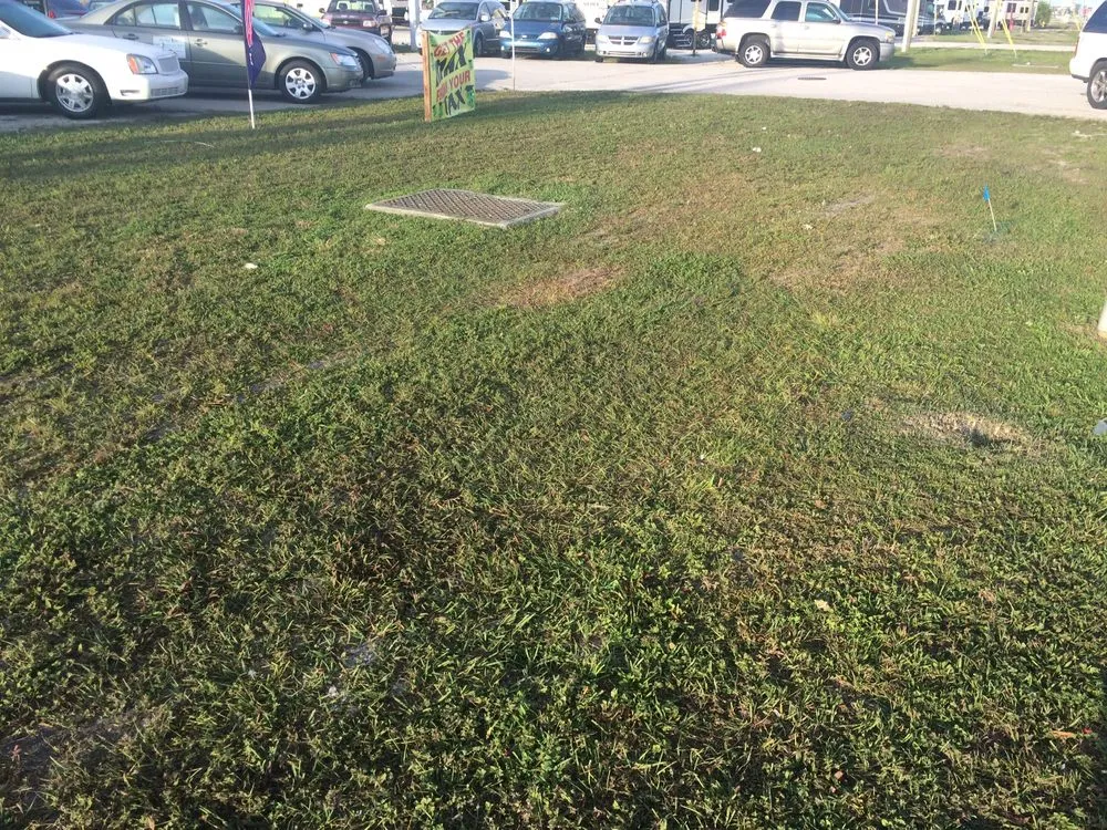 Custom yard cleanup service experts serving Avon Park, FL - Lawn care