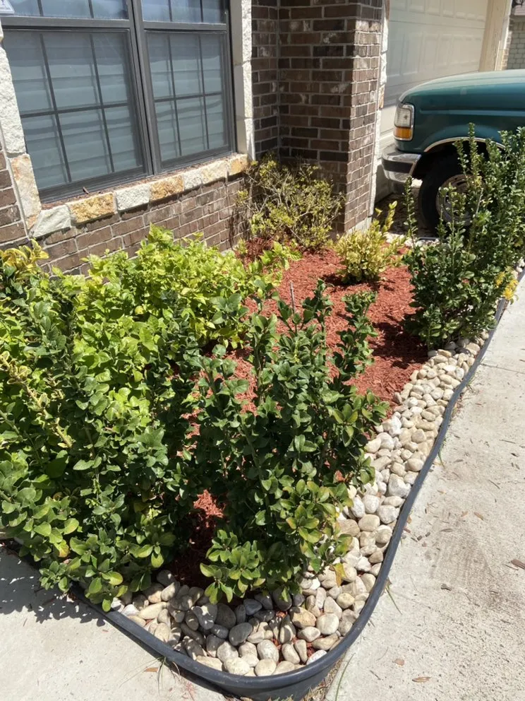 Affordable residential landscaping in Mission, TX - Lawn care Benito’s