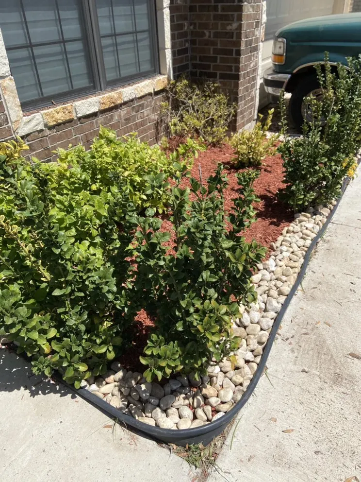 Trusted lawn care service for outdoor upgrades across Mission, TX - Lawn care Benito’s