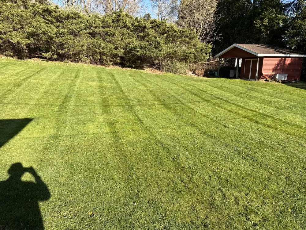Reliable yard cleanup service in Brockway, PA - Lawn Care