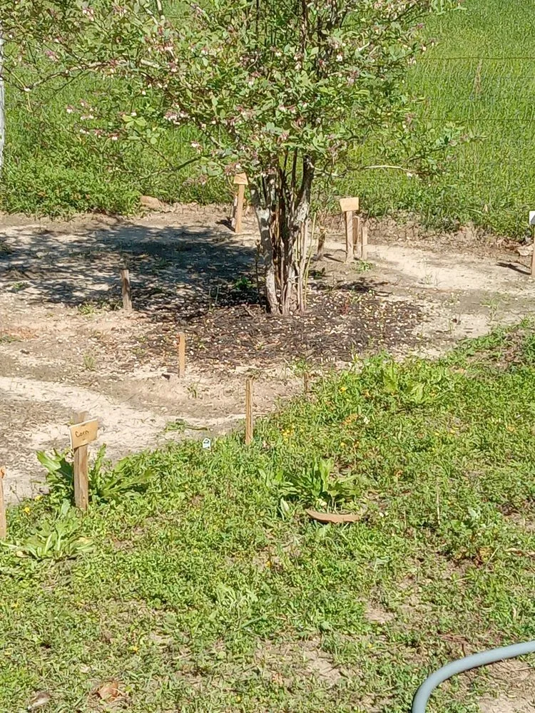 Trusted yard maintenance for outdoor upgrades across Hattiesburg, MS - Lawn Care Bros