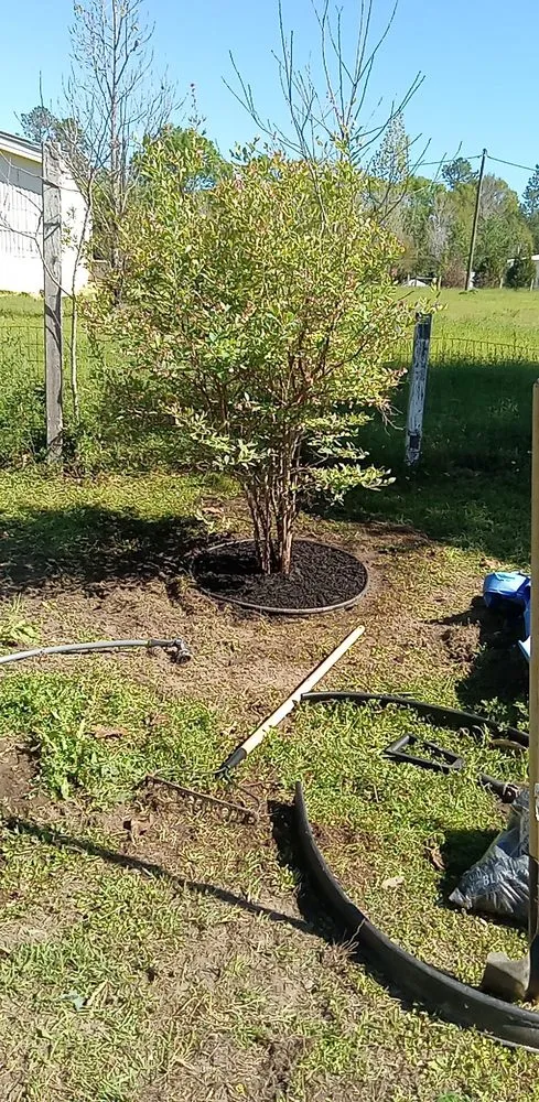 Local garden landscaping experts serving Hattiesburg, MS - Lawn Care Bros