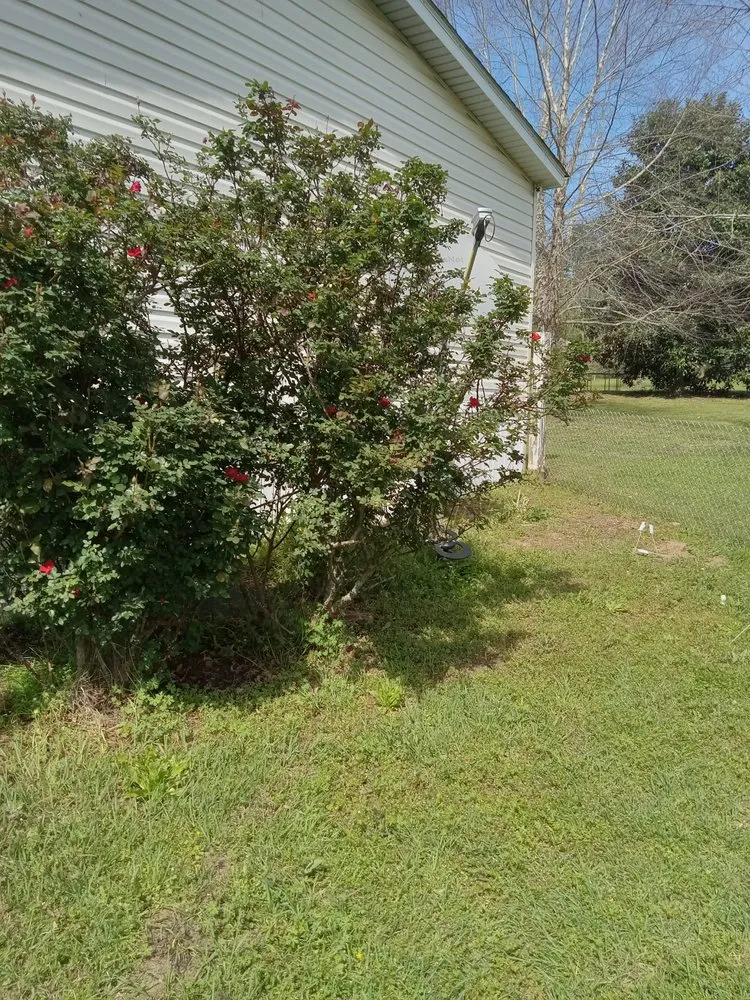 Local landscape design in Hattiesburg, MS by Lawn Care Bros