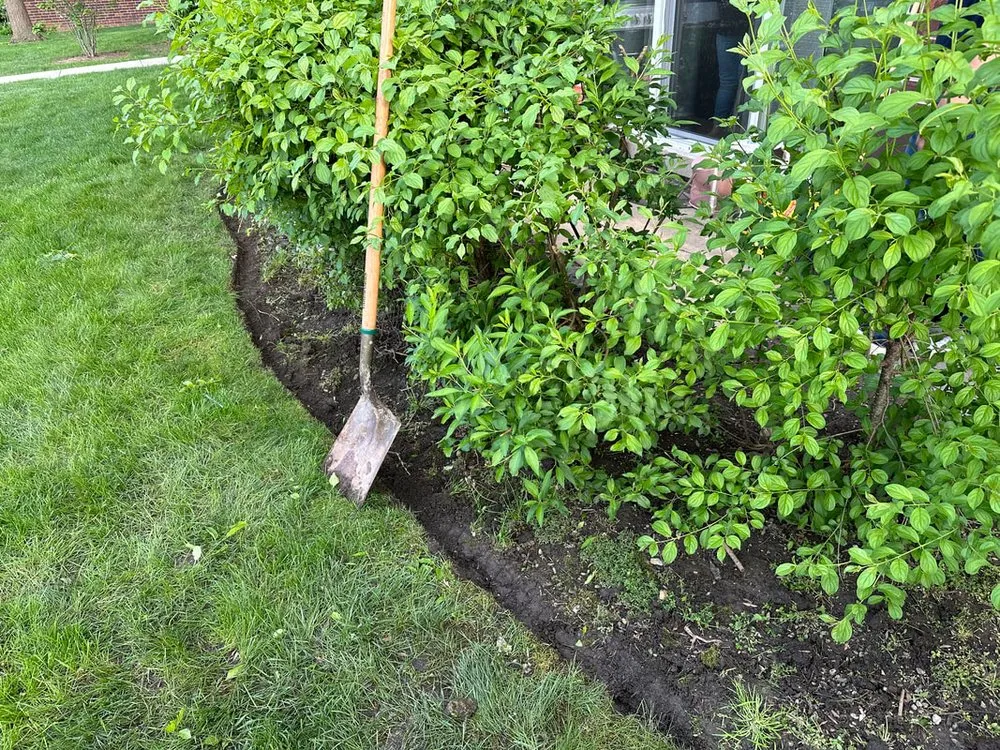 Expert lawn care service experts serving Schaumburg, IL - Lawn Care Buddies