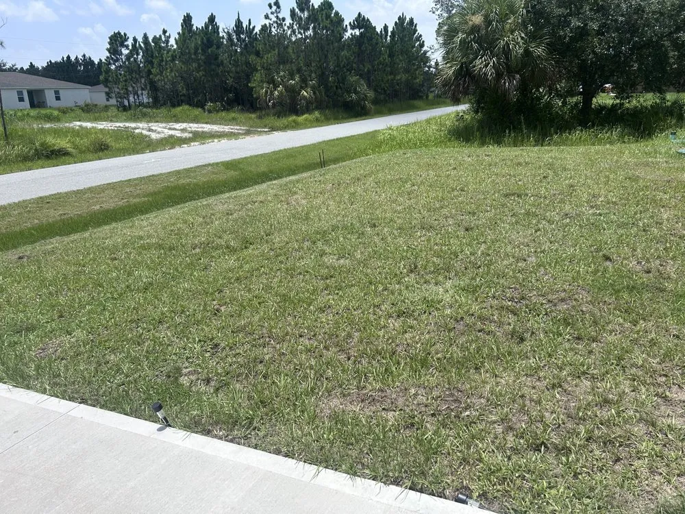 Affordable landscape installation for year-round maintenance in Grant-Valkaria, FL by Lawn Care By Alex