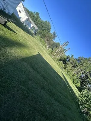 Lawn Care By Alex Logo
